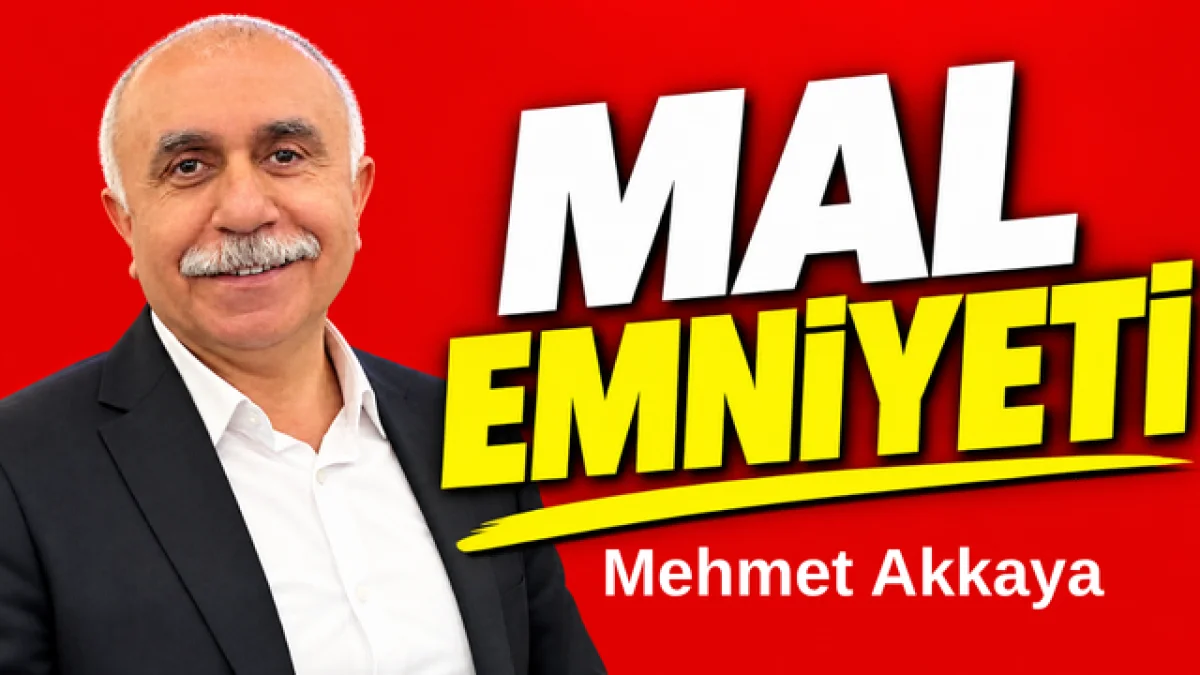 Mal Emniyeti