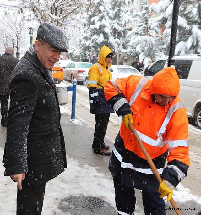 Kar seferberliği