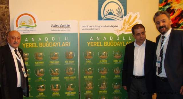 Kırıkkale Tarımı Bakan Çelik'e anlatıldı