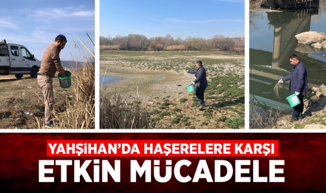 Yahşihan'da haşerelere karşı etkin mücadele