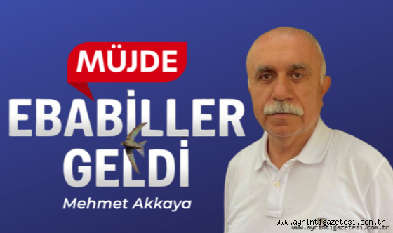Müjde ebabiller geldi