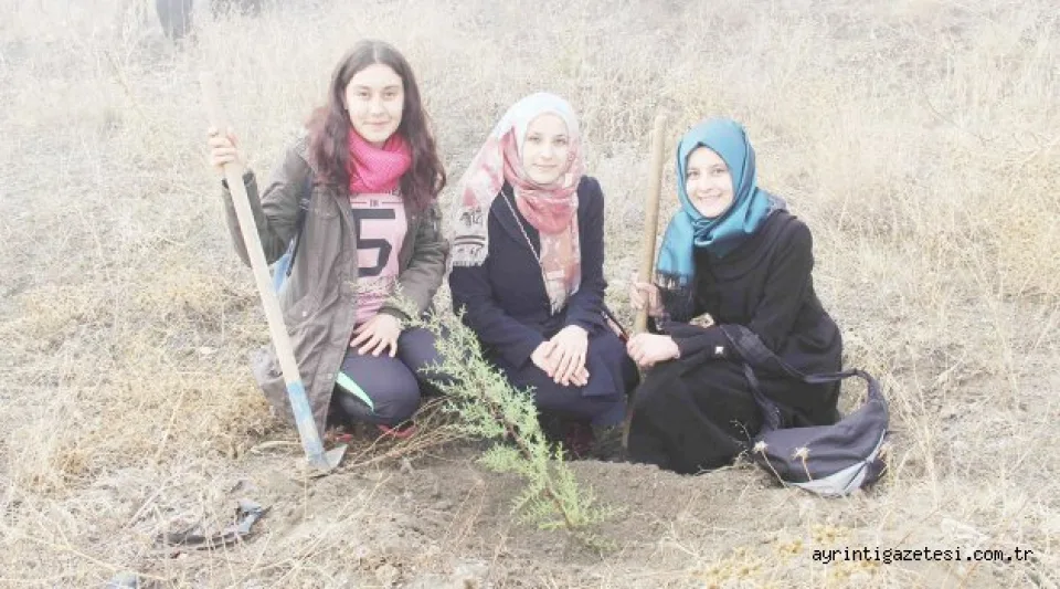 300 fidan toprakla buluştu