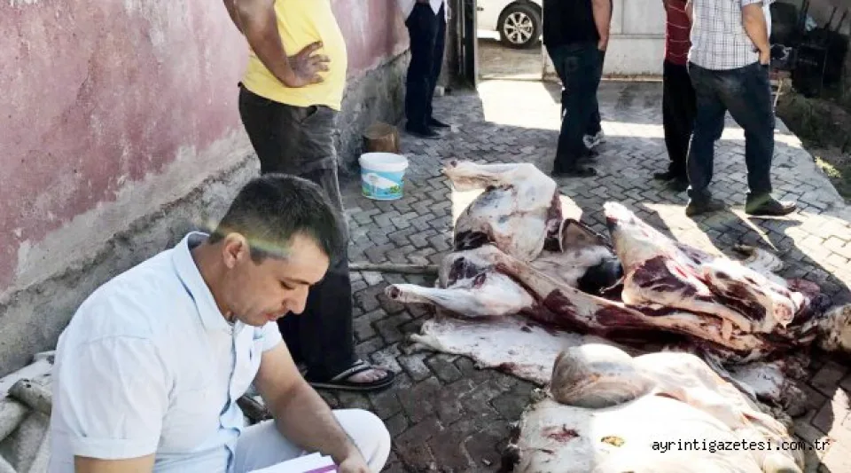 Tüberküloz çıkan kurbanın etleri imha edildi