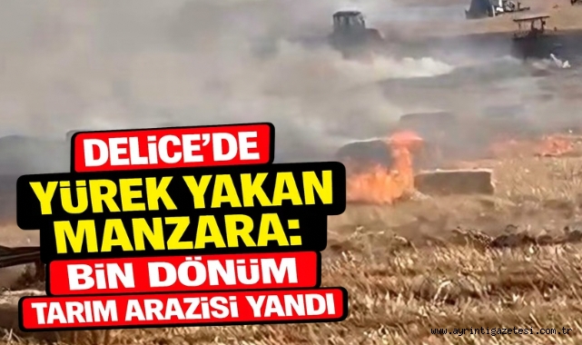 Delice'de Yürek Yakan Manzara: Bin Dönüm Tarım Arazisi Yandı