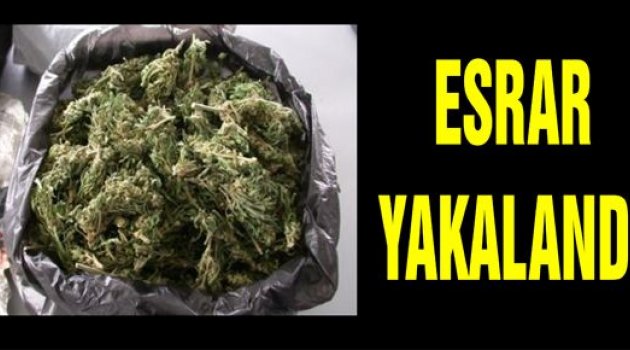 40 Kilo Esrar Ele Geçirildi