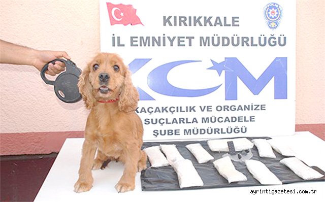8 bin 779 kişiye işlem yapıldı