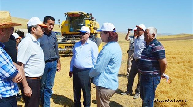 Çalışmalar yüz güldürdü