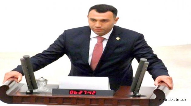 Demokratik tepkilerini ortaya koymuşlardır