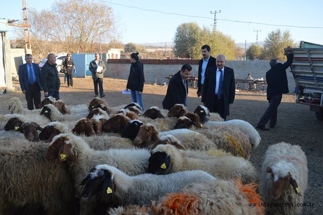 Genç çiftçilere destek