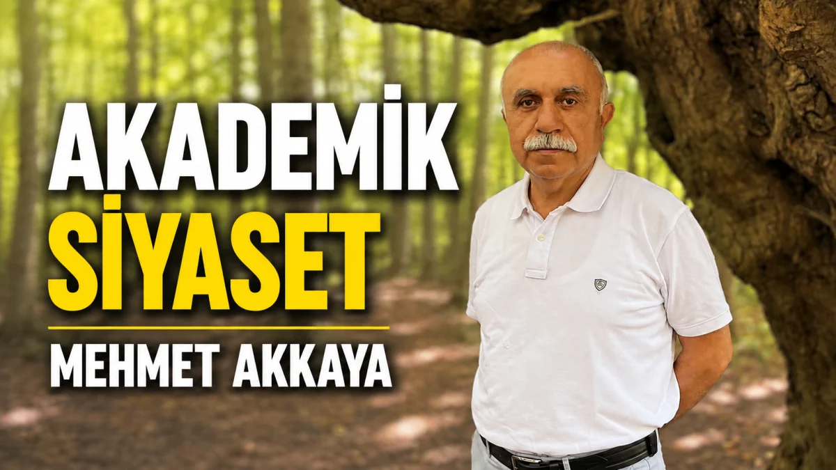 Akademik Siyaset