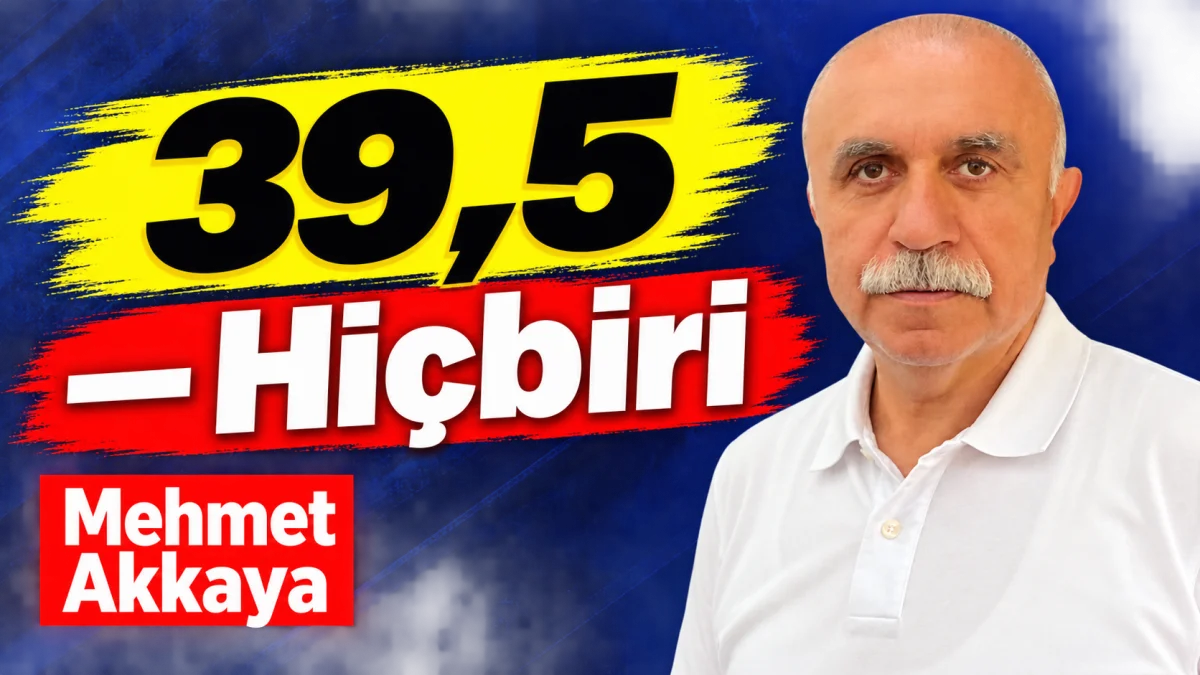 39,5 Hiçbiri