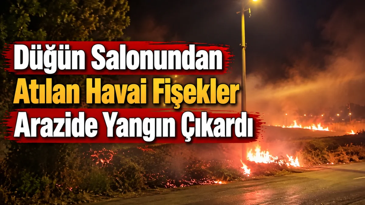 Düğün Salonundan Atılan Havai Fişekler Arazide Yangın Çıkardı