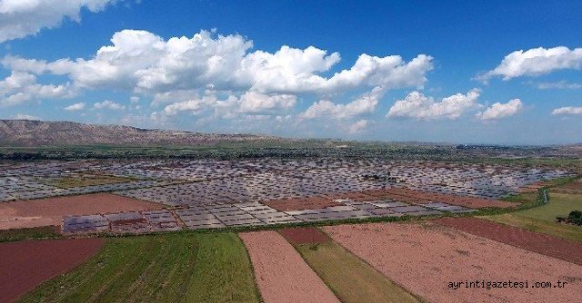 Hamzalı Sulaması inşaatında çalışmalar tam gaz devam ediyor