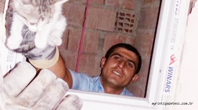 Kedi operasyonu