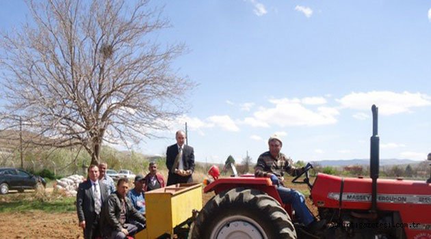 Patatesle çiftçinin yüzü güldü