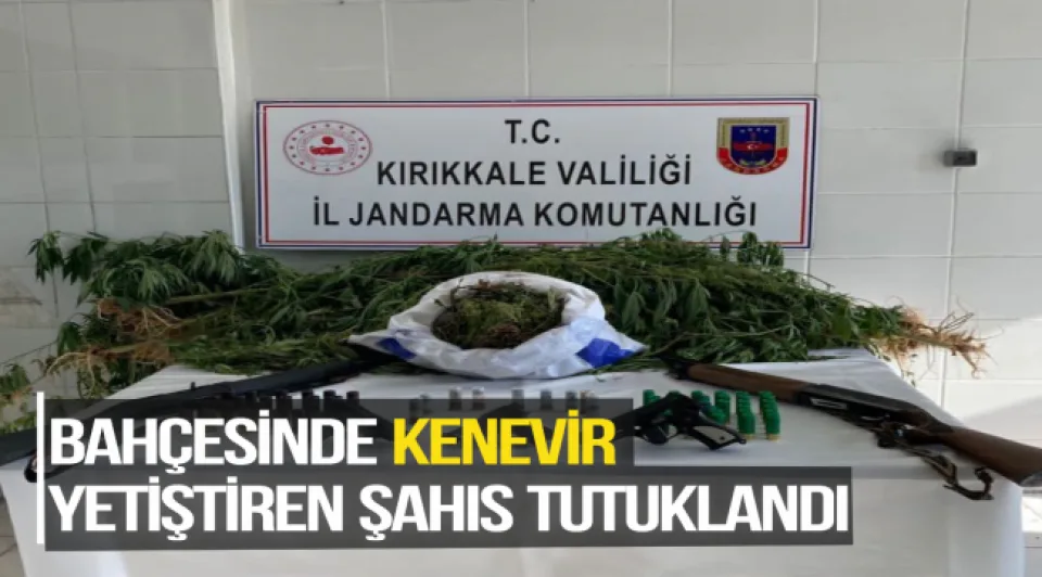 BAHÇESİNDE KENEVİR YETİŞTİREN ŞAHIS TUTUKLANDI
