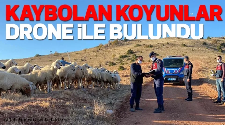 KAYBOLAN KOYUNLAR DRONE İLE BULUNDU 