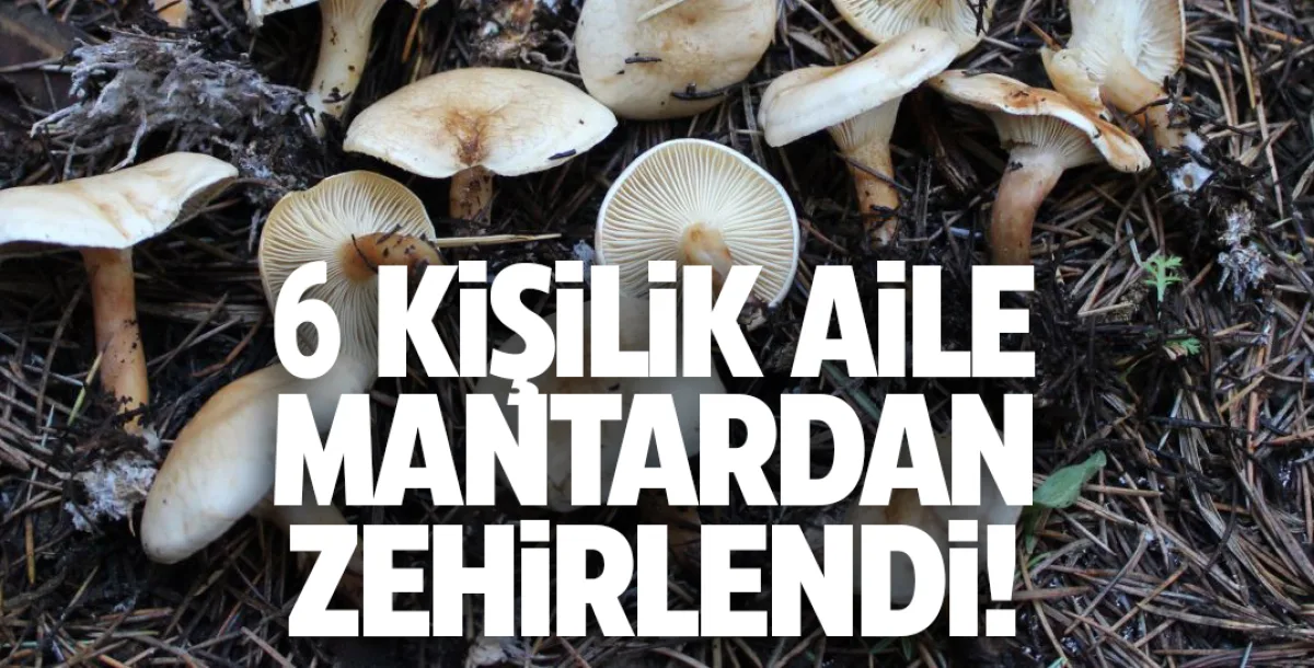 Kırıkkale'de 6 kişi mantardan zehirlendi