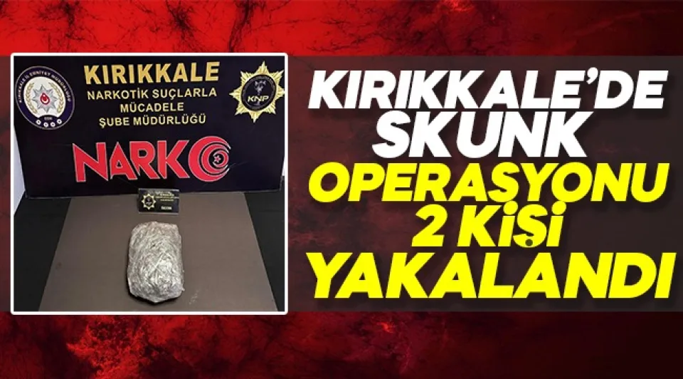 Kırıkkale'de "Skunk" operasyonu: 2 kişi yakalandı