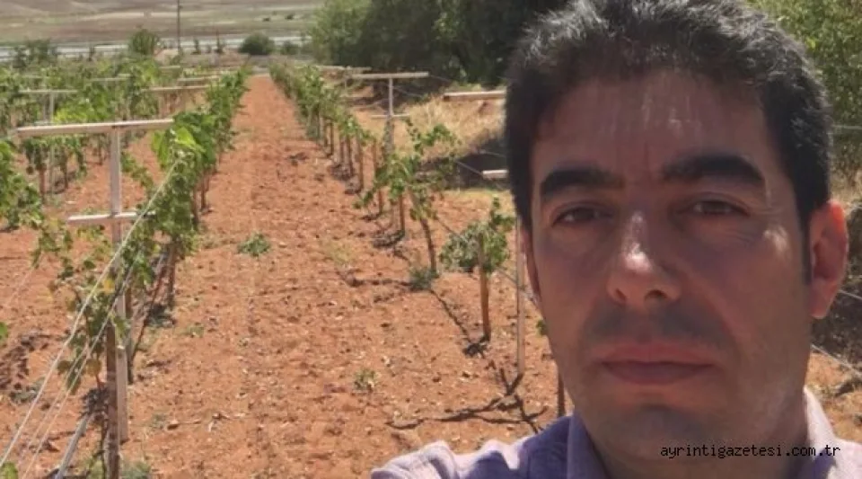 ÇOK GÜZEL HAREKETLER BUNLAR 