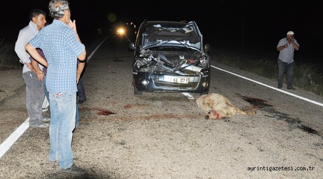Trafik kazası: 3 yaralı